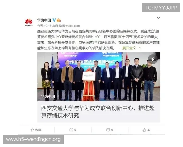 问鼎28pc下载遇到问题怎么办，常见故障排查与解决方案全攻略